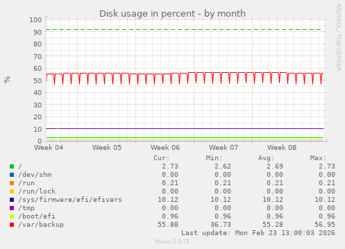 Disk usage in percent